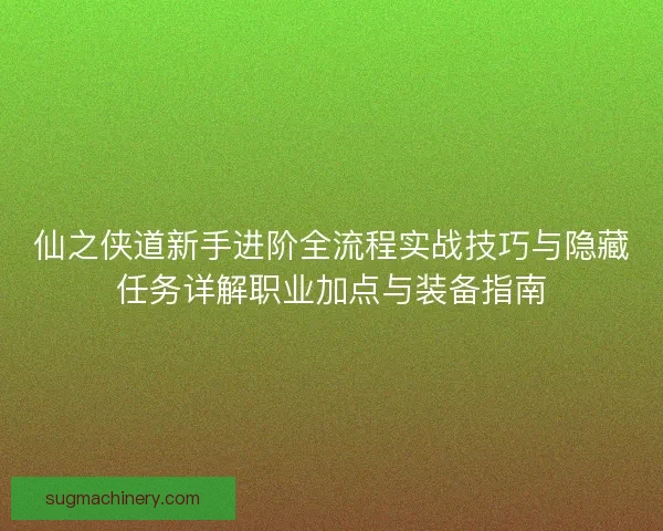 仙之侠道新手进阶全流程实战技巧与隐藏任务详解职业加点与装备指南