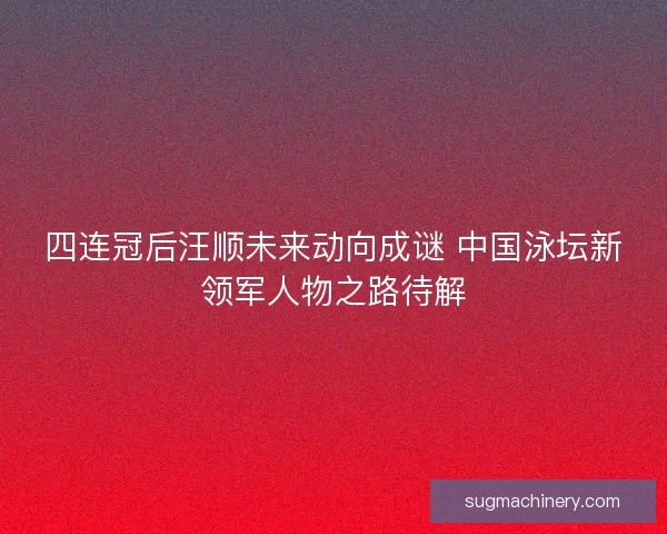 四连冠后汪顺未来动向成谜 中国泳坛新领军人物之路待解
